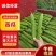 河南苦瓜/焦作苦瓜/精品苦瓜条形顺长颜色绿可市场电商代发全国