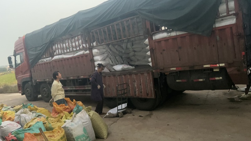 圆粒湘红莲精品莲子各种莲子加工厂欢迎各位老板联系