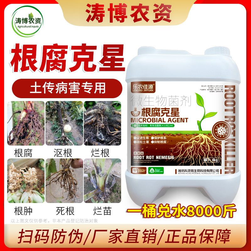 根腐病特效防治猝倒立枯茎基腐烂根根腐重茬土传病害枯萎根腐