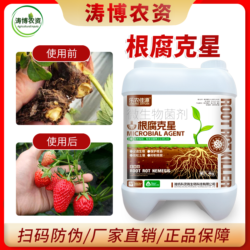 根腐病特效防治猝倒立枯茎基腐烂根根腐重茬土传病害枯萎根腐