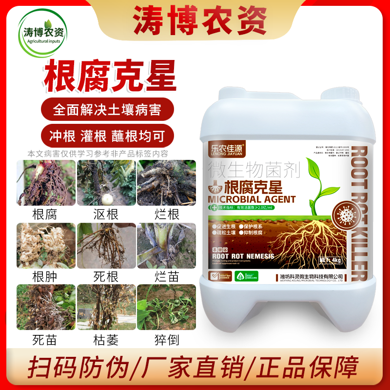 根腐病特效防治猝倒立枯茎基腐烂根根腐重茬土传病害枯萎根腐