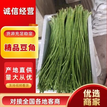 豆角云南红河长豆角大量上市质量好价格优量大从优