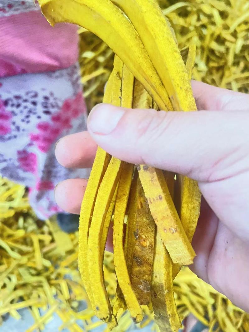 黄柏精品丝货一手货源黄柏支持视频看货