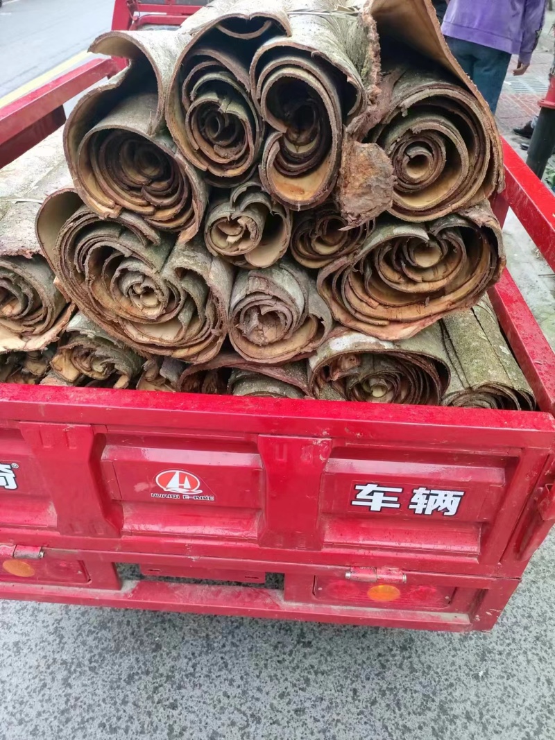 出售鲜厚扑，各种干货厚扑，精品厚扑量大丛优