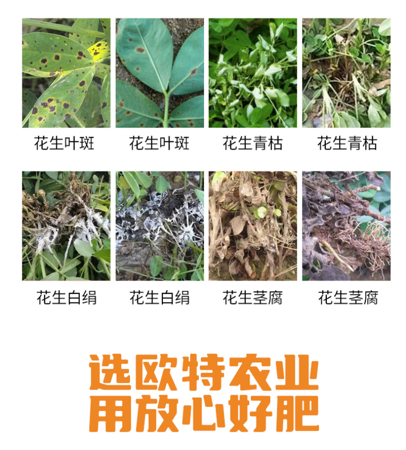 阿逸多花生力菌花生白绢茎腐叶斑青枯专用菌剂有机肥料