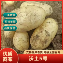 沃土5号土豆黄心质量很好，无青头，有老板订购与我共赢合作