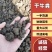 纯牛粪，纯干牛粪，颗粒牛粪，发酵纯牛粪，牛粪有机肥，