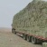 牛羊草优质草料喂牛羊马草养殖专用可视频看货