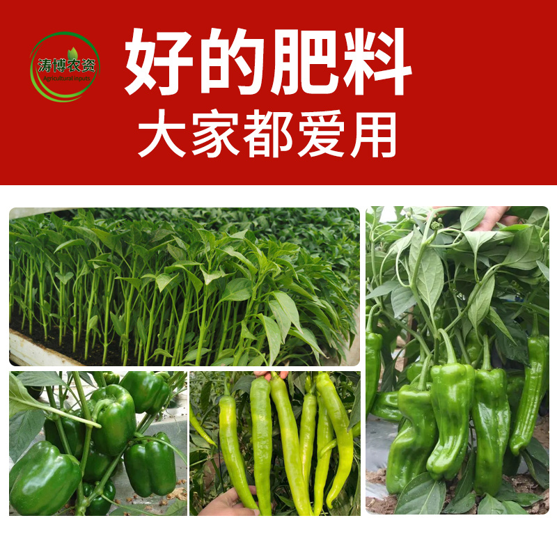 辣椒膨大叶面肥膨大三不落拉长直抗病高产保花保果上色辣椒专