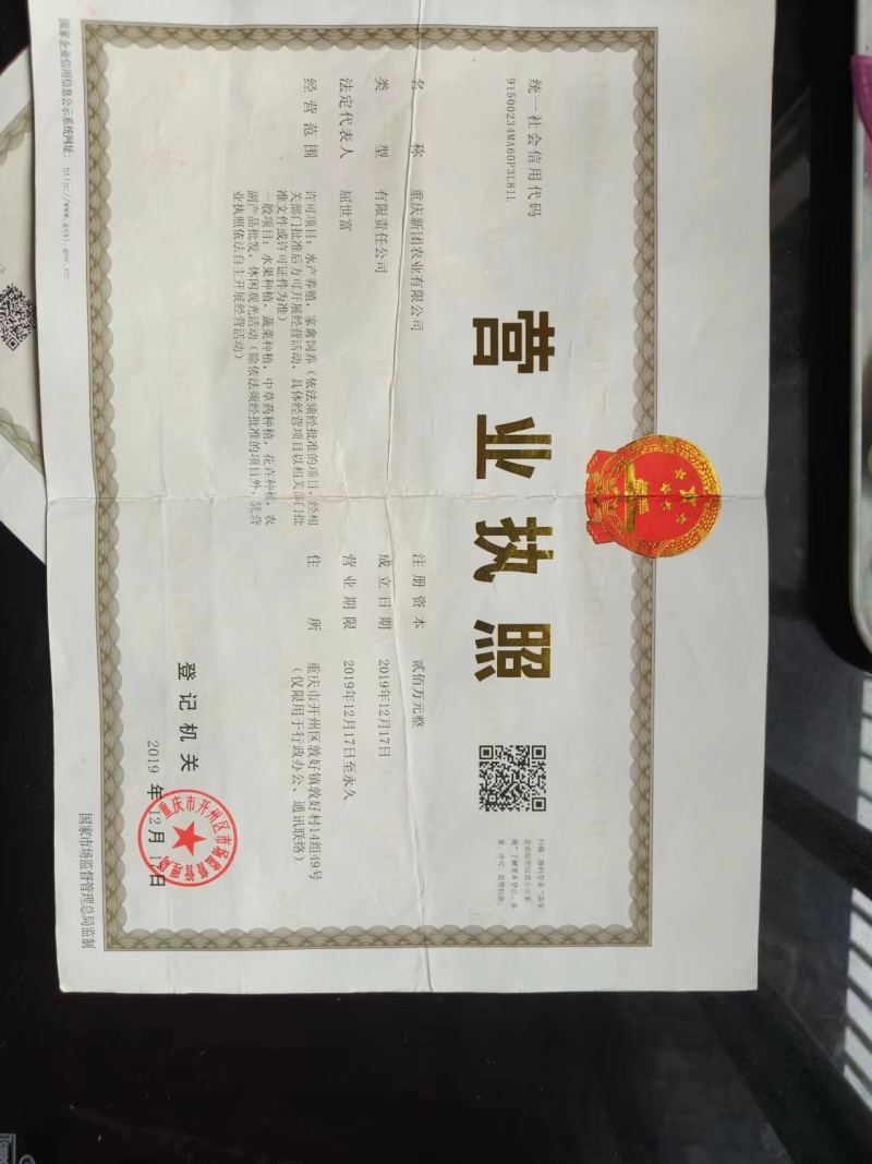 枳壳鲜果枳壳精品货源产地直供量大从优欢迎咨询