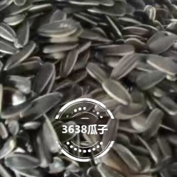 3638皮毛漂亮，干净无杂质