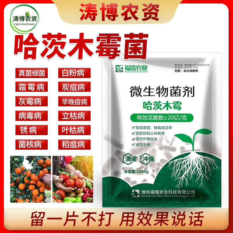 哈茨木霉菌农用种植生物菌肥土传根腐病害防真菌抗重茬土壤活