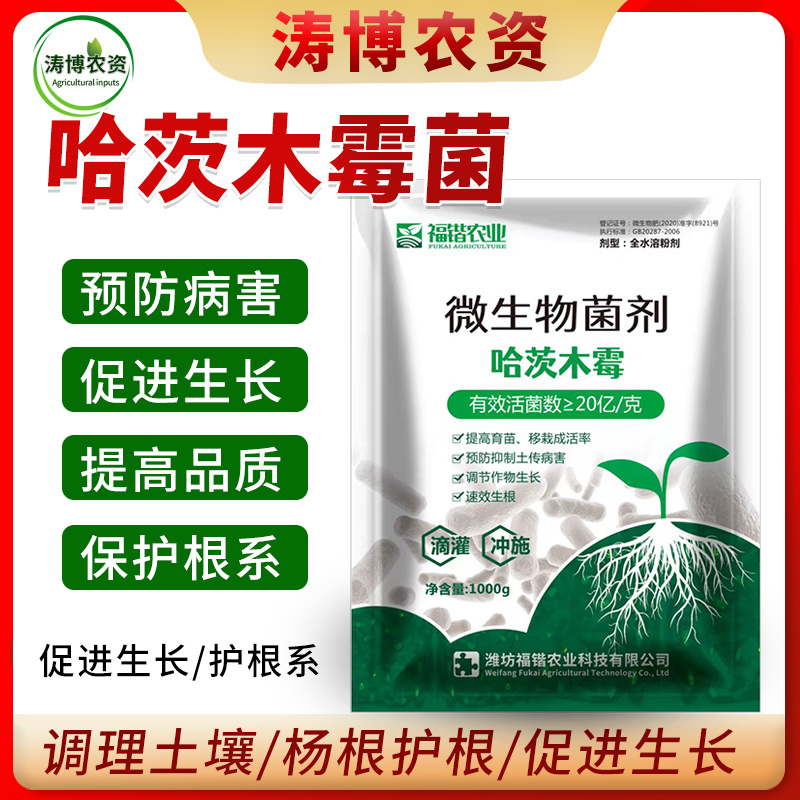 哈茨木霉菌农用种植生物菌肥土传根腐病害防真菌抗重茬土壤活