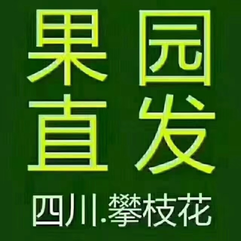 【推荐】四川精品石榴突尼斯软籽石榴产地大量上代发