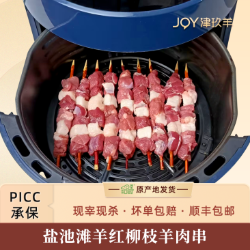 宁夏盐池红柳枝羊肉串大肉串烤串空气炸锅户外烧烤食材半成品