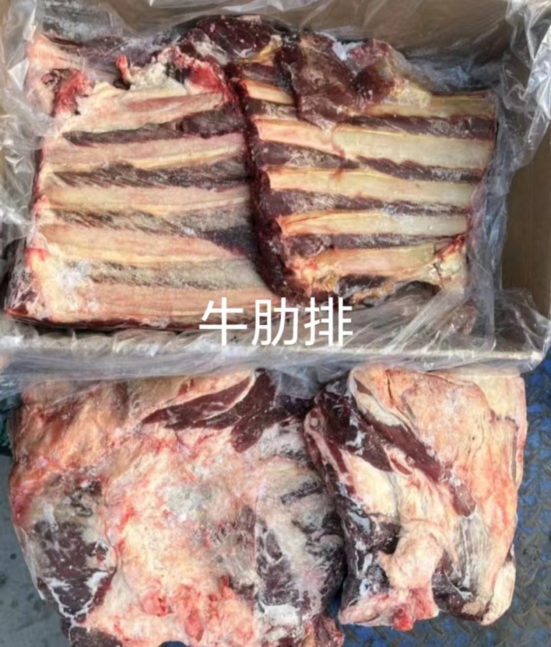 牛肋排厂家直销量大质优价格优惠欢迎采购一手货源