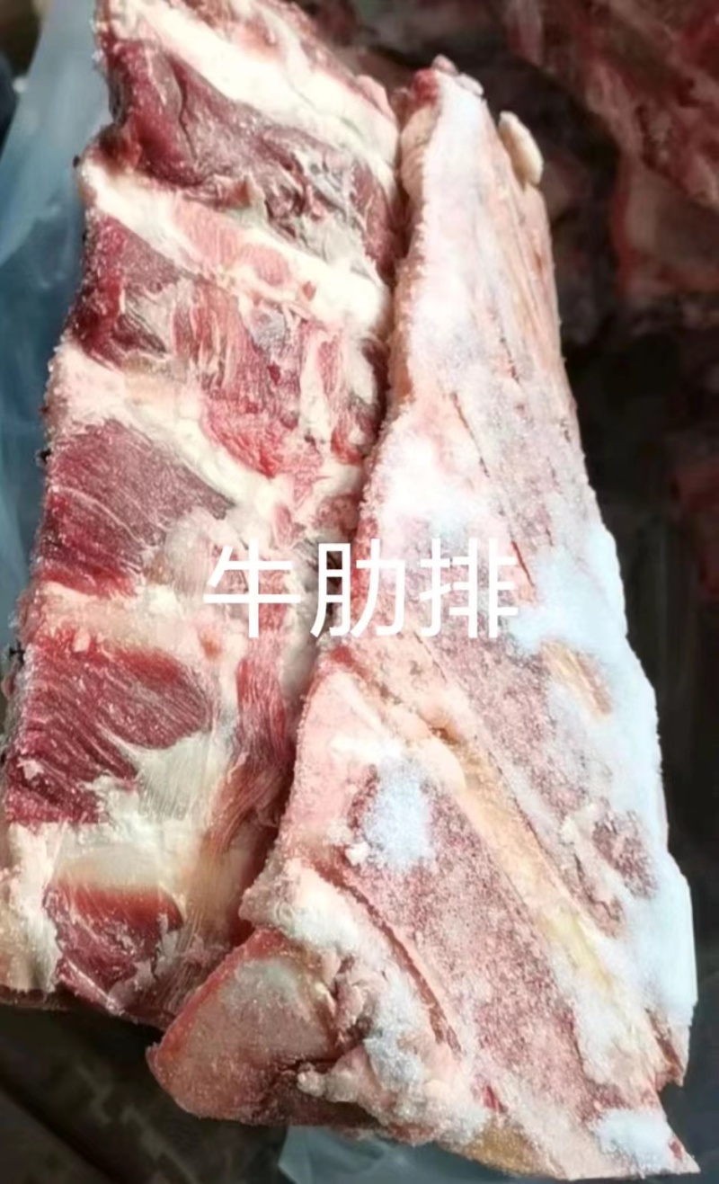 牛肋排厂家直销量大质优价格优惠欢迎采购一手货源