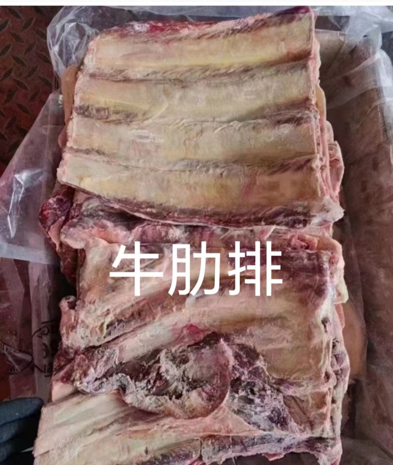 牛肋排厂家直销量大质优价格优惠欢迎采购一手货源