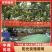 【热卖】四川凉山精品阳光玫瑰葡萄产地直发货包邮顺丰电商