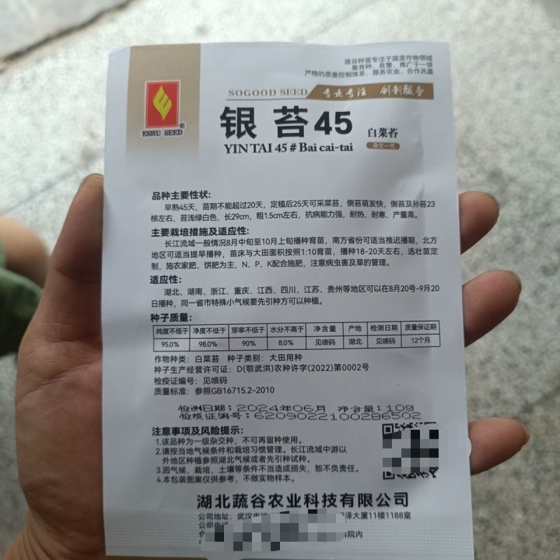 银苔45白菜苔种子早熟45天侧苔萌发快耐热耐寒抗病