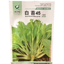 白苔45白菜苔种子早熟45天侧苔萌发快耐热耐寒抗病