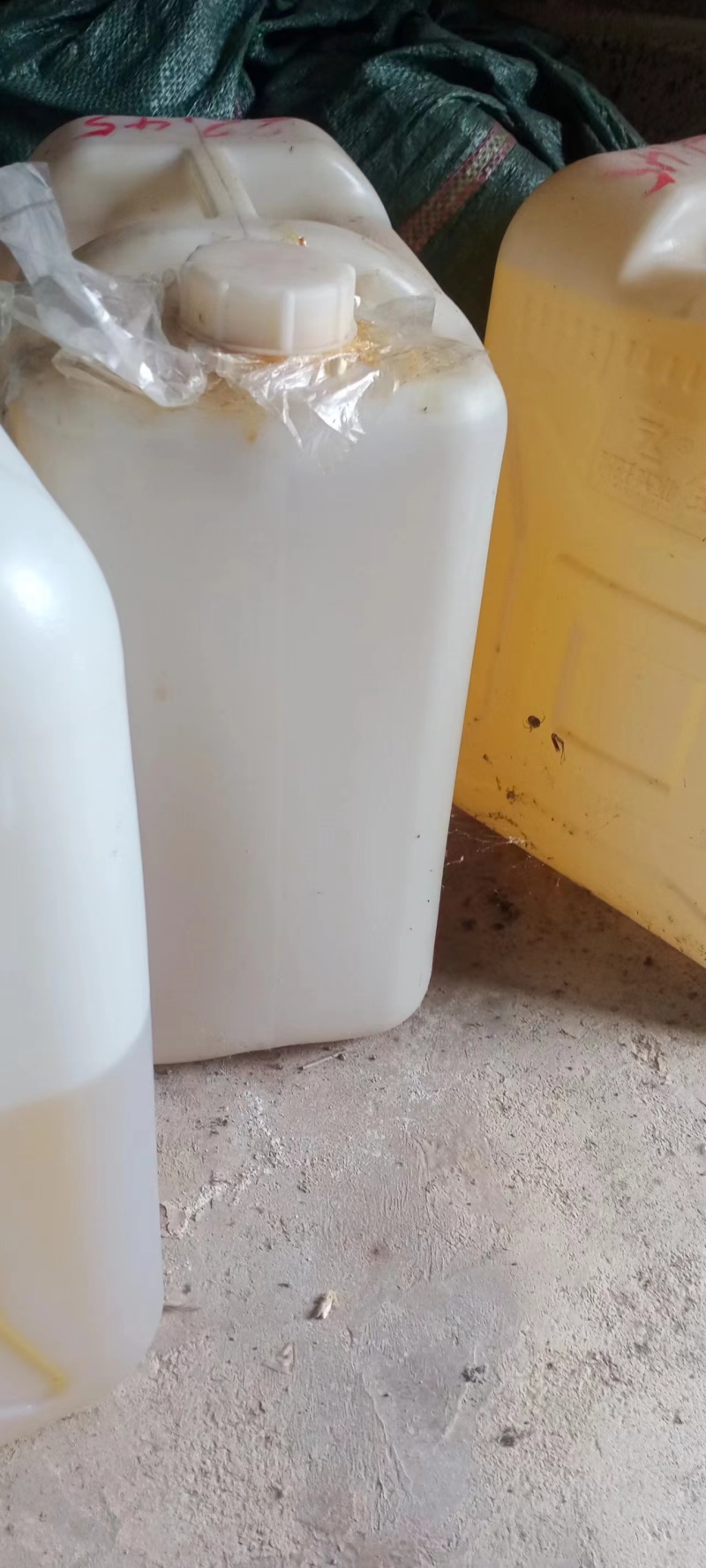云南精品山苍子油自家压榨品质保证量大价优欢迎咨询