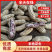 云南七彩花生品质保证诚信经营欢迎联系价格优惠