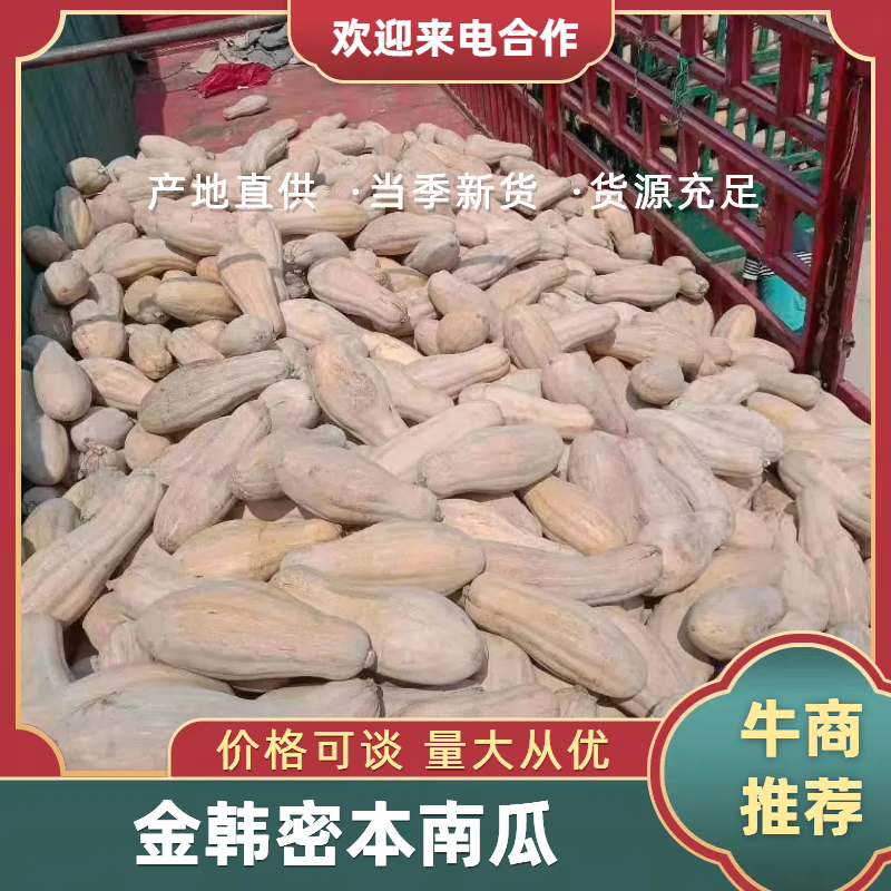 金韩蜜本南瓜基地直供，货源充足代发全国