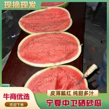 【推荐】宁夏硒砂瓜大量供应产地直发对接全国品质保证