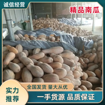 金韩蜜本南瓜5到十斤以上长条形小金密，江密南瓜多个品