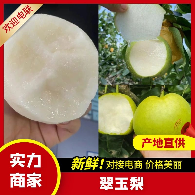 精品酥脆一号梨518梨口感脆甜供应全国发发市场电商
