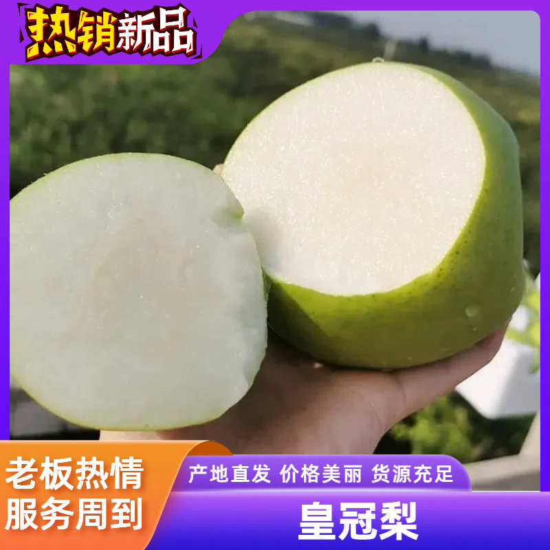 翠玉梨安徽翠玉梨皮薄多汁产地直发供应市场电商