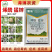 海讯69%烯酰吗啉代森锰锌100克霜霉病烯酰锰锌葡萄植物