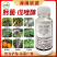 75%肟菌戊唑醇杀菌剂肟菌酯戊唑醇纹枯病农药杀菌药铲除杀