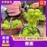 【青提】产地现摘现发量大从优品质保证全国发货