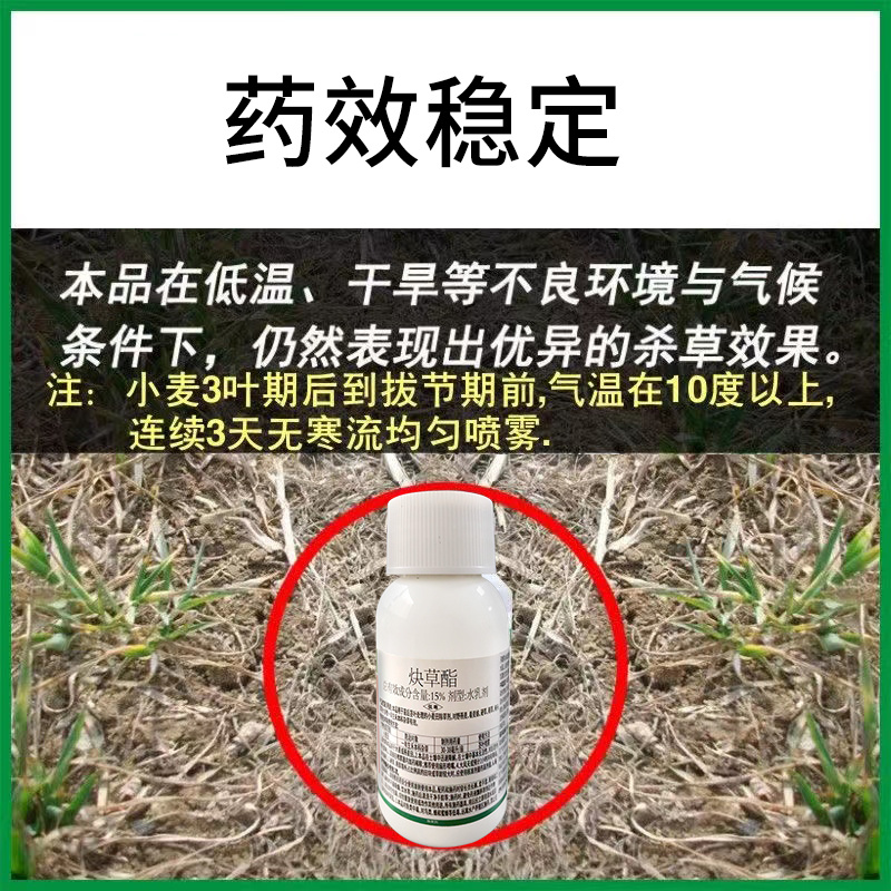 15%炔草酯麦田除草剂小麦苗后除草剂杂草克星杂草连根死批