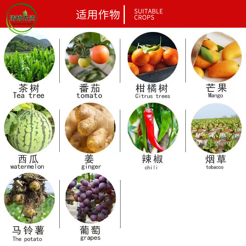 77%氢氧化铜溃疡病角斑病软腐病疫病姜瘟病细菌性果树蔬菜