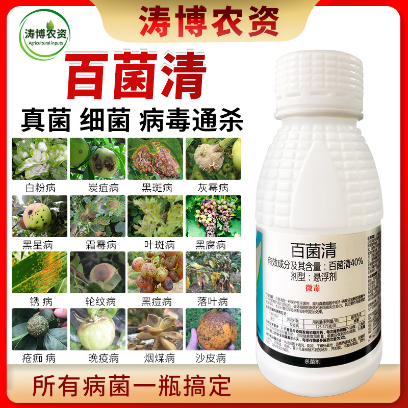百菌清杀菌剂锈病炭疽病白粉病叶斑病霜霉病果树蔬菜花卉多肉
