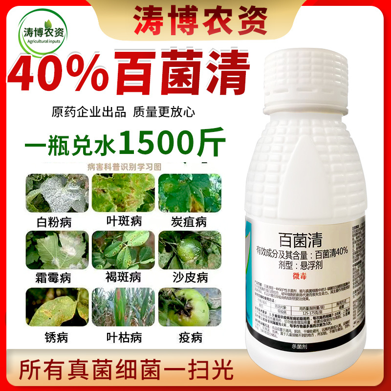 百菌清杀菌剂锈病炭疽病白粉病叶斑病霜霉病果树蔬菜花卉多肉