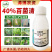 百菌清杀菌剂锈病炭疽病白粉病叶斑病霜霉病果树蔬菜花卉多肉