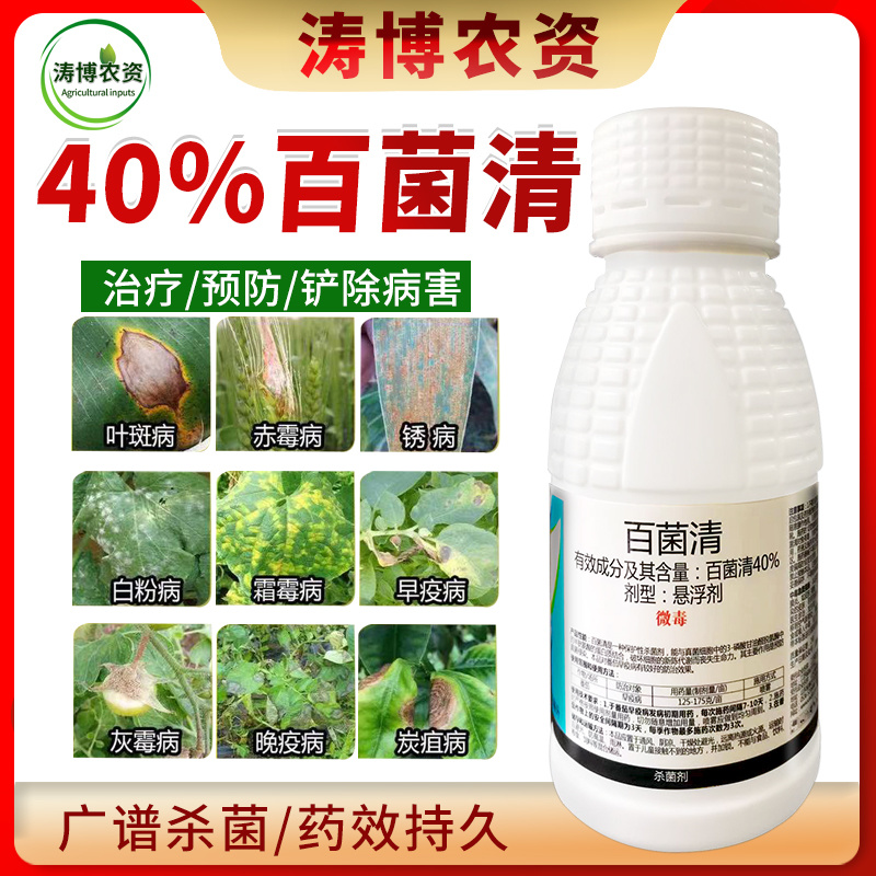 百菌清杀菌剂锈病炭疽病白粉病叶斑病霜霉病果树蔬菜花卉多肉