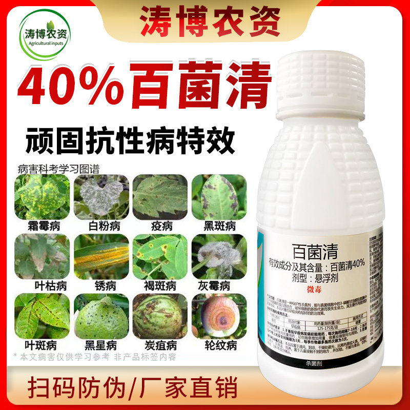百菌清杀菌剂锈病炭疽病白粉病叶斑病霜霉病果树蔬菜花卉多肉