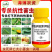 抗性青虫农药杀虫剂水稻瓜果蔬菜卷叶虫钻心虫吊丝虫食心虫夜