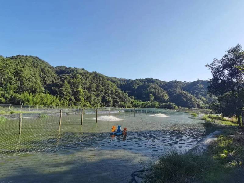 加州鲈鱼优质鲈鱼量大从优欢迎老板电联视频看货