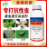 联苯噻虫胺杀虫剂跳甲蓟马蔬菜绿植通用蚧壳虫蚜虫白粉虱瓢虫