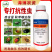 联苯噻虫胺杀虫剂跳甲蓟马蔬菜绿植通用蚧壳虫蚜虫白粉虱瓢虫