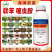 联苯噻虫胺杀虫剂跳甲蓟马蔬菜绿植通用蚧壳虫蚜虫白粉虱瓢虫