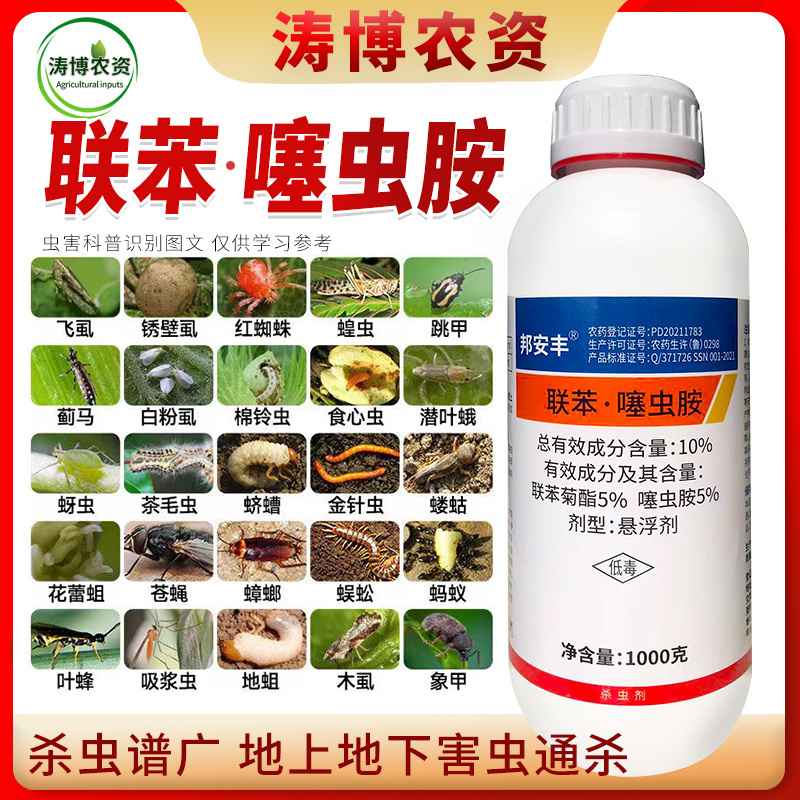 联苯噻虫胺杀虫剂跳甲蓟马蔬菜绿植通用蚧壳虫蚜虫白粉虱瓢虫