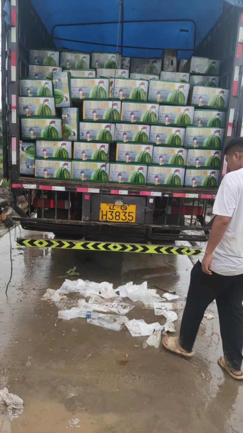 精品美都西瓜产地直发一手货源全国供应可视频看货
