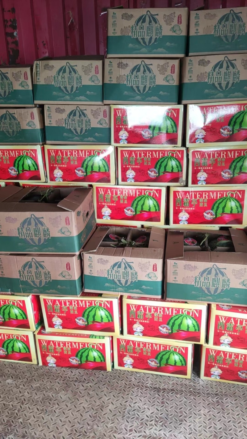 精品美都西瓜产地直发一手货源全国供应可视频看货
